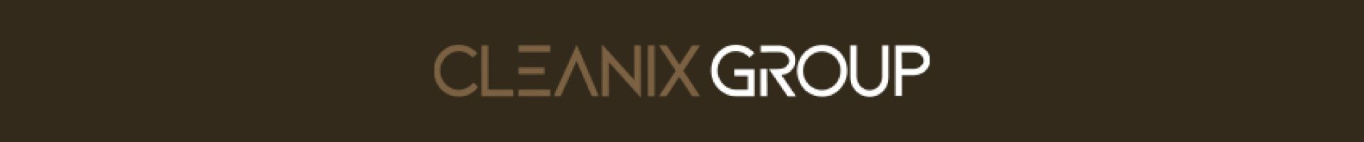 cleanix group